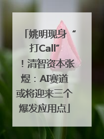 姚明现身“打Call”！清智资本张煜：AI赛道或将迎来三个爆发应用点