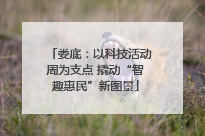 娄底：以科技活动周为支点 撬动“智趣惠民”新图景