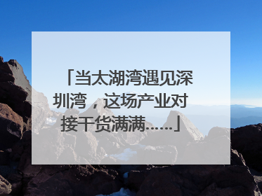 当太湖湾遇见深圳湾，这场产业对接干货满满……