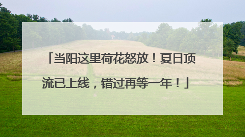 当阳这里荷花怒放！夏日顶流已上线，错过再等一年！