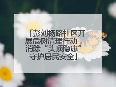 彭刘杨路社区开展危树清理行动，消除“头顶隐患”守护居民安全