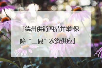 德州供销四措并举 保障“三夏”农资供应