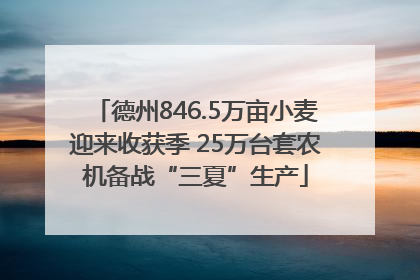 德州846.5万亩小麦迎来收获季 25万台套农机备战“三夏”生产