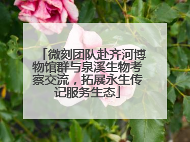 微刻团队赴齐河博物馆群与泉溪生物考察交流，拓展永生传记服务生态