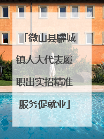 微山县驩城镇人大代表履职出实招精准服务促就业