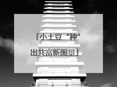 小土豆“种”出共富新图景
