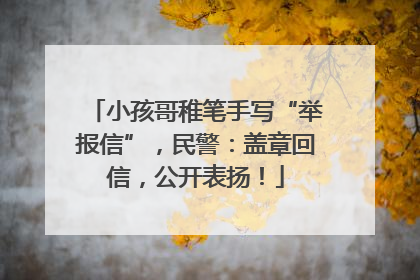小孩哥稚笔手写“举报信”，民警：盖章回信，公开表扬！