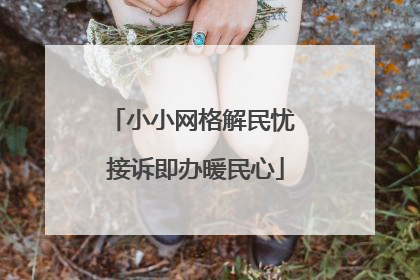 小小网格解民忧 接诉即办暖民心