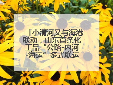 小清河又与海港联动，山东首条化工品“公路-内河-海运”多式联运通道开通