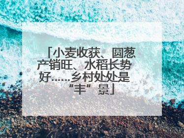 小麦收获、圆葱产销旺、水稻长势好……乡村处处是“丰”景