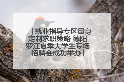 就业指导专区量身定制求职策略 德阳罗江夏季大学生专场招聘会成功举办