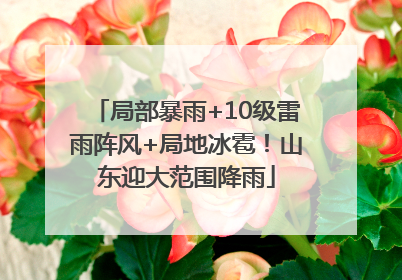 局部暴雨+10级雷雨阵风+局地冰雹！山东迎大范围降雨