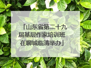 山东省第二十九届基层作家培训班在聊城临清举办