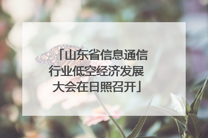 山东省信息通信行业低空经济发展大会在日照召开