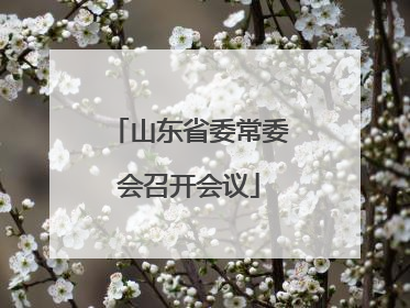 山东省委常委会召开会议