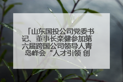 山东国投公司党委书记、董事长栾健参加第六届跨国公司领导人青岛峰会“人才引领 创新驱动”人力资源高质量发展对话会
