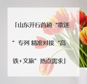 山东开行首趟“歌迷”专列 精准对接“高铁+文旅”热点需求