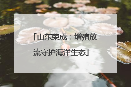 山东荣成：增殖放流守护海洋生态