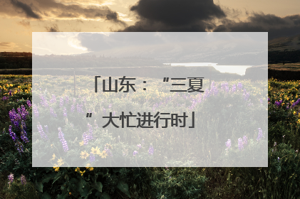 山东：“三夏”大忙进行时