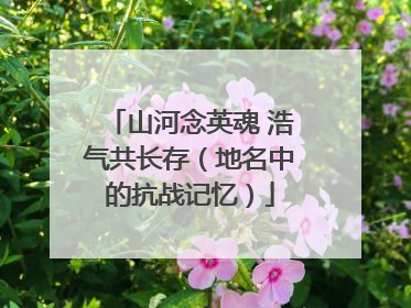 山河念英魂 浩气共长存（地名中的抗战记忆）