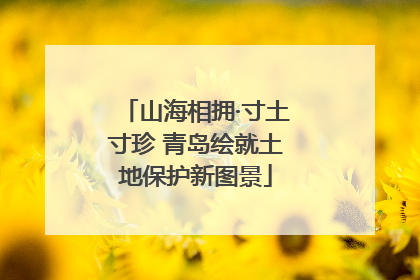 山海相拥·寸土寸珍 青岛绘就土地保护新图景