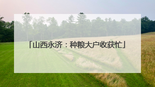 山西永济：种粮大户收获忙