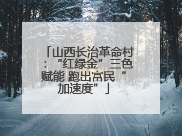 山西长治革命村：“红绿金”三色赋能 跑出富民“加速度”