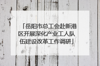 岳阳市总工会赴新港区开展深化产业工人队伍建设改革工作调研