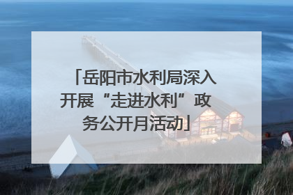 岳阳市水利局深入开展“走进水利”政务公开月活动