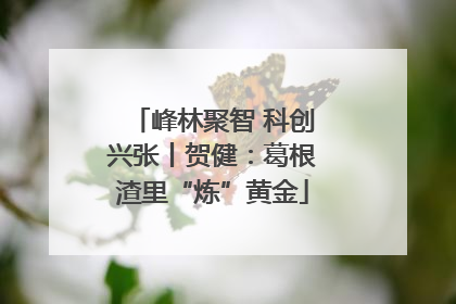 峰林聚智 科创兴张丨贺健：葛根渣里“炼”黄金