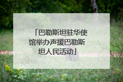巴勒斯坦驻华使馆举办声援巴勒斯坦人民活动