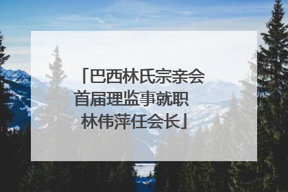 巴西林氏宗亲会首届理监事就职 林伟萍任会长