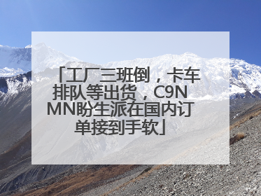 工厂三班倒，卡车排队等出货，C9NMN盼生派在国内订单接到手软