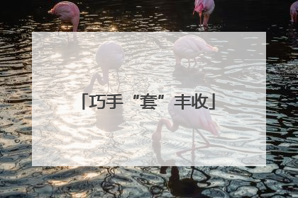巧手“套”丰收