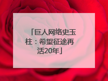 巨人网络史玉柱：希望征途再活20年