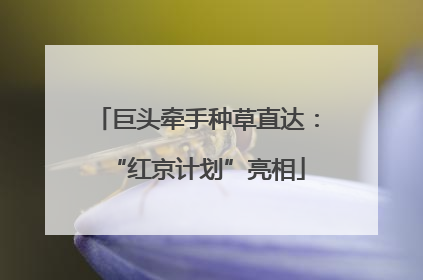 巨头牵手种草直达：“红京计划”亮相