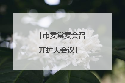 市委常委会召开扩大会议