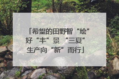 希望的田野智“绘”好“丰”景 “三夏”生产向“新”而行