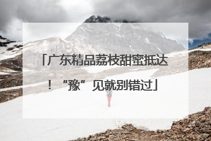 广东精品荔枝甜蜜抵达！“豫”见就别错过