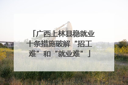 广西上林县稳就业十条措施破解“招工难”和“就业难”