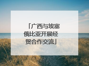 广西与埃塞俄比亚开展经贸合作交流