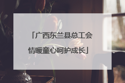 广西东兰县总工会情暖童心呵护成长