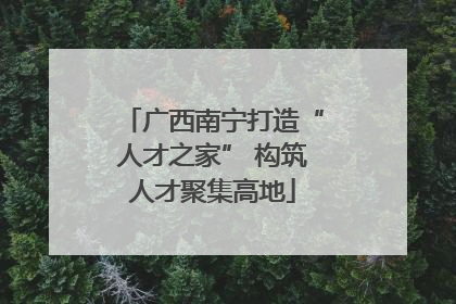 广西南宁打造“人才之家” 构筑人才聚集高地
