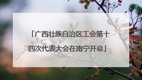 广西壮族自治区工会第十四次代表大会在南宁开幕