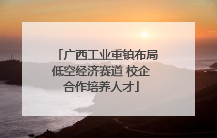 广西工业重镇布局低空经济赛道 校企合作培养人才
