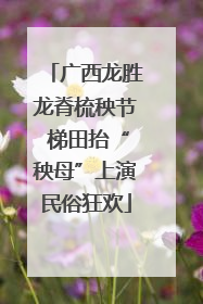 广西龙胜龙脊梳秧节 梯田抬“秧母”上演民俗狂欢