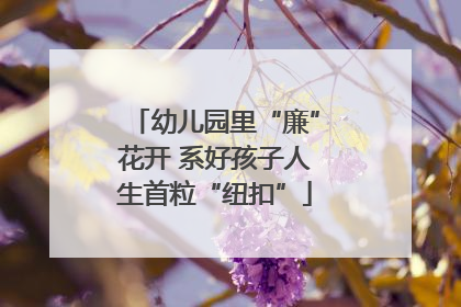 幼儿园里“廉”花开 系好孩子人生首粒“纽扣”