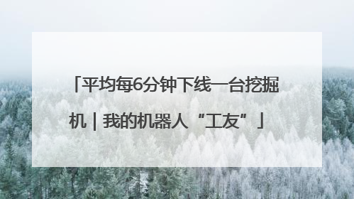 平均每6分钟下线一台挖掘机｜我的机器人“工友”