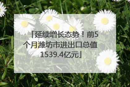 延续增长态势！前5个月潍坊市进出口总值1539.4亿元