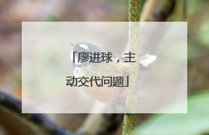 廖进球，主动交代问题